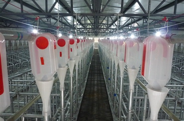 自動(dòng)化養(yǎng)殖1